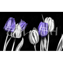 Cuadro de flores tulipanes malva blancos