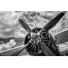 Cuadro de Avión vintage blanco y negro