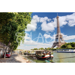 Cuadro de la Torre Eiffel de Paris desde el Sena