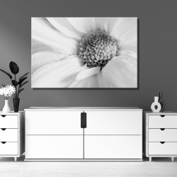 Cuadro Flor margarita blanco y negro impreso para salón