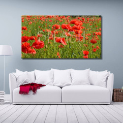 Cuadro de paisaje floral con amapolas impreso en lienzo para salón