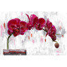 Cuadro de flores con orquídeas rojas