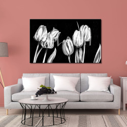 Flores tulipanes blanco y...