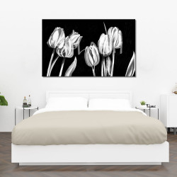 Flores tulipanes blanco y negro