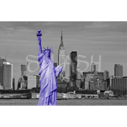 Cuadro New York Estatua Libertad Malva