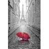 Cuadro blanco y negro París paraguas