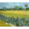 Cuadro de Van Gogh campo de lirios