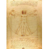 Cuadro hombre de Vitruvio de Leonardo
