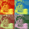 Cuadro David pop art estilo Warhol