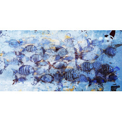 Peces rayados en mar azul